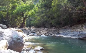 Sigue búsqueda de niña arrastrada por corriente del río Petlapa