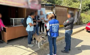 Rescatan a Kira ante probable maltrato animal y activa medidas de protección