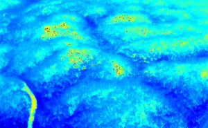 Reporta Coesfo 70% de liquidación en incendio forestal de San Miguel del Puerto