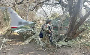 Aseguran avioneta con más de media tonelada de cocaína en Oaxaca