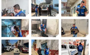 Realizan cateo para rescatar a dos perritos en situación de abandono, los dejaron encerrados en una casa deshabitada