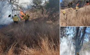 Atiende Coesfo cuatro incendios forestales registrados en diferentes regiones de Oaxaca