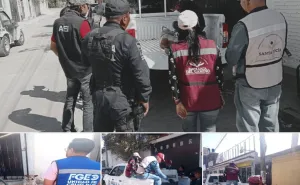 Acción coordinada permite rescate y atención médica de perrito abandonado en Santa Lucía del Camino