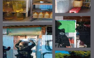 En cateo, FGR asegura más de 200 litros de hidrocarburos en Soledad Etla 