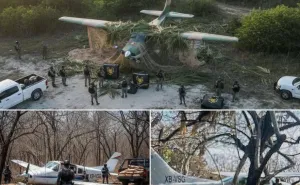 Inteligencia de EU y México logran histórico decomiso cerca de Juchitán: 534 paquetes de droga asegurados