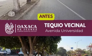 Trabajo que se ve: vecinas y vecinos realizan Tequio Vecinal en Avenida Universidad