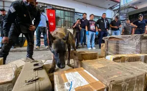 Operativo simultáneo en paqueterías de Oaxaca permite detectar envío de drogas, armas y cartuchos