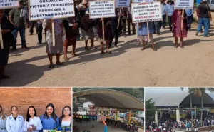 Expolición / No son las mismas llamas / Amado Sanmartín Hernández