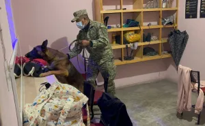 Operativo nocturno en bares de la Mixteca deja dos detenidos y refuerza seguridad