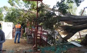 Continúan trabajos de atención y monitoreo en Oaxaca de Juárez tras lluvias