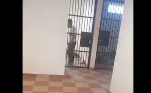 En la Sierra Mixe, en Tlahuitoltepec destruyen vivienda y encarcelan a adultos mayores