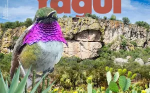 ¡Hoy celebramos el 27º Aniversario del Conanp-Monumento Natural Yagul!