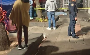 Falle maestro de la S-22 en plantón de la CDMX