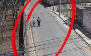 ¡Se les acabó la carrera delictiva! caen dos ratas en Santa Lucía del Camino