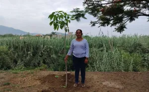 Más de 8 mil árboles fortalecen estrategia ambiental en Santa Lucía del Camino