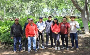 Recibe Xoxocotlán árboles para impulsar la reforestación urbana