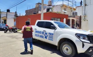 Municipio de Oaxaca de Juárez atiende denuncia por presunto maltrato animal