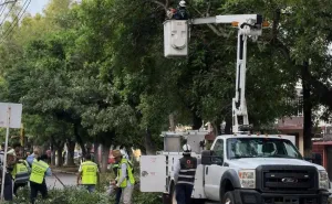 Mejor alumbrado y poda de árboles en calz. Tecnológico