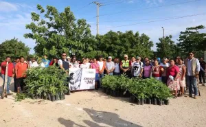 Gobierno de Juchitán se suma a la Jornada Nacional de Reforestación