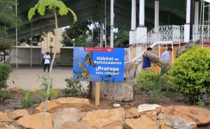 Instalan jardines polinizadores en Santa Cruz Xoxocotlán