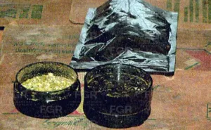 Asegura FGR droga y cartuchos durante cateo en Oaxaca; hay un detenido