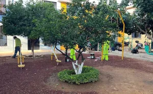 Tequio Vecinal mejora espacios públicos en la colonia Postal