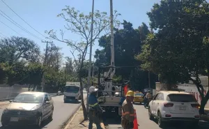 Gobierno Municipal atiende reporte ciudadano y rehabilita luminarias en el boulevard Eduardo Vasconcelos