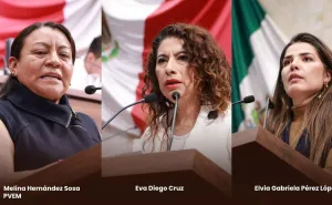 Proponen reconocer la violencia por acecho en la Ley Estatal de Acceso de las Mujeres a una Vida Libre de Violencia de Género