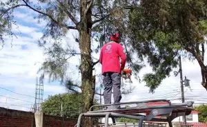 ¡Podas preventivas para espacios escolares más seguros en Santa Lucía del Camino! 