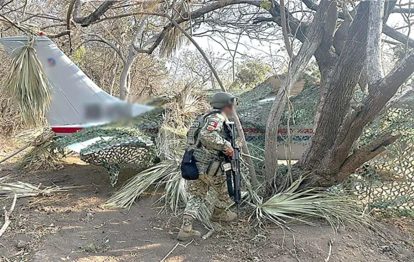 Aseguran avioneta con más de media tonelada de cocaína en Oaxaca