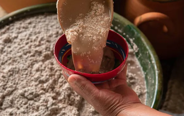 ¡Ya es mañana! La 24ª Feria del Tejate 2026 en San Andrés Huayápam!