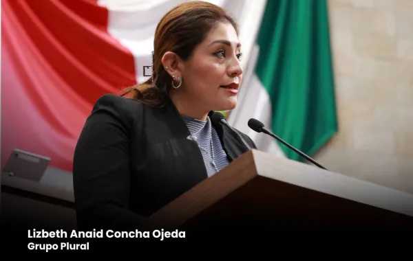 Proponen crear la Procuraduría Ambiental Municipal para garantizar el derecho a un medio ambiente sano