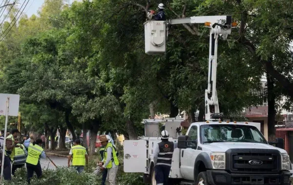 Mejor alumbrado y poda de árboles en calz. Tecnológico