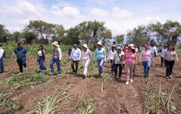 Recupera Ayuntamiento de Santa Cruz Xoxocotlán casi cuatro hectáreas de predio