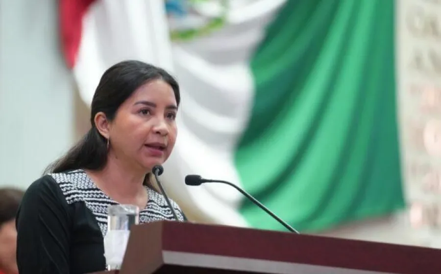 El derecho al cuidado debe plasmarse en la Constitución de Oaxaca