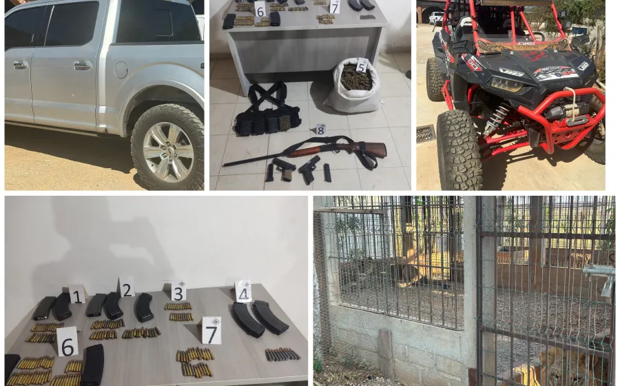 Catean rancho en el Istmo y aseguran animales exóticos, armas y drogas