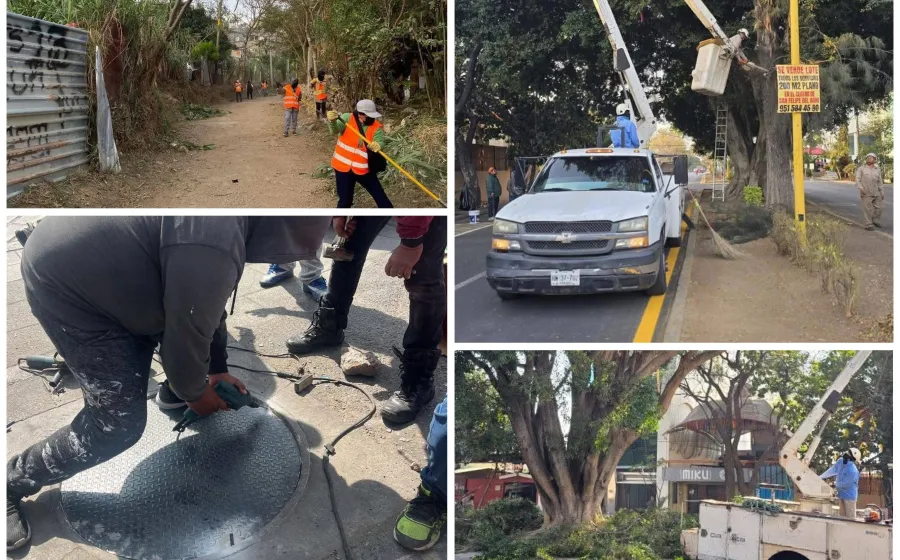 Podan y limpian para mantener en buen estado los espacios públicos de Oaxaca de Juárez