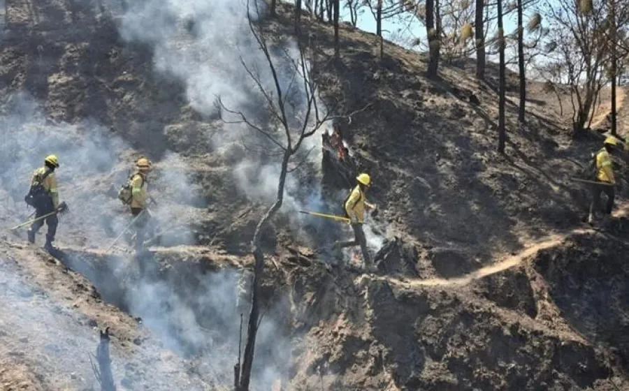 Reporta Coesfo control de incendio forestal en Santiago Minas y Santa Catarina Juquila