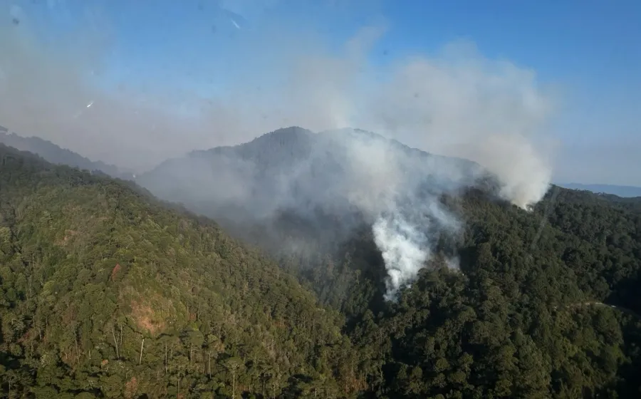 Atiende Coesfo incendios en la Cuenca del Papaloapan y Costa