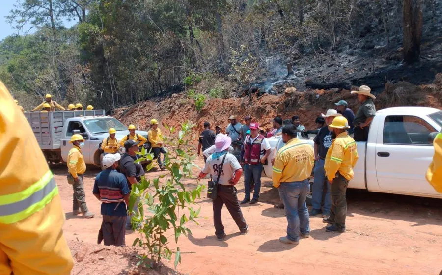 Atiende Coesfo incendio forestal en Putla Villa de Guerrero