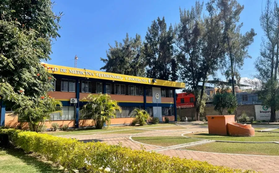 26 mil estudiantes de la UABJO inician vacaciones de Semana Santa