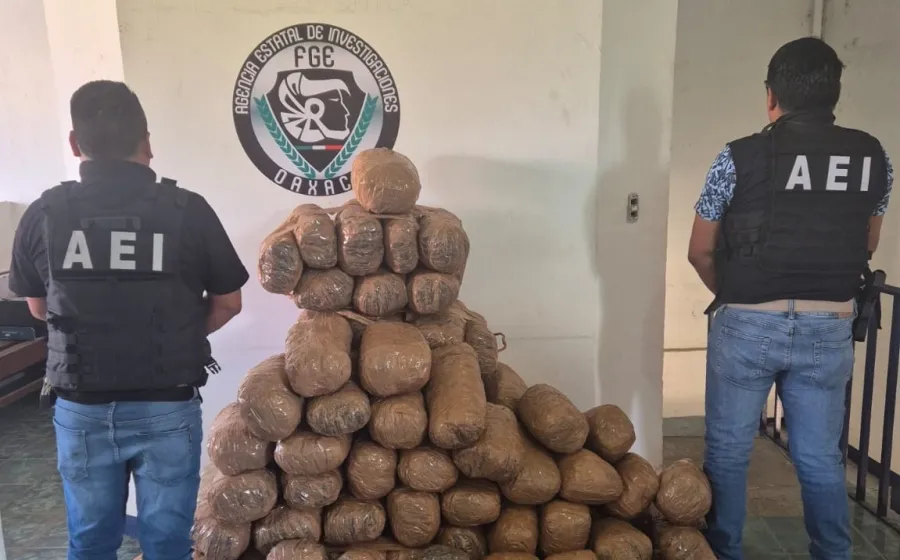 Fiscalía de Oaxaca asegura cargamento con 110 kg de mariguana