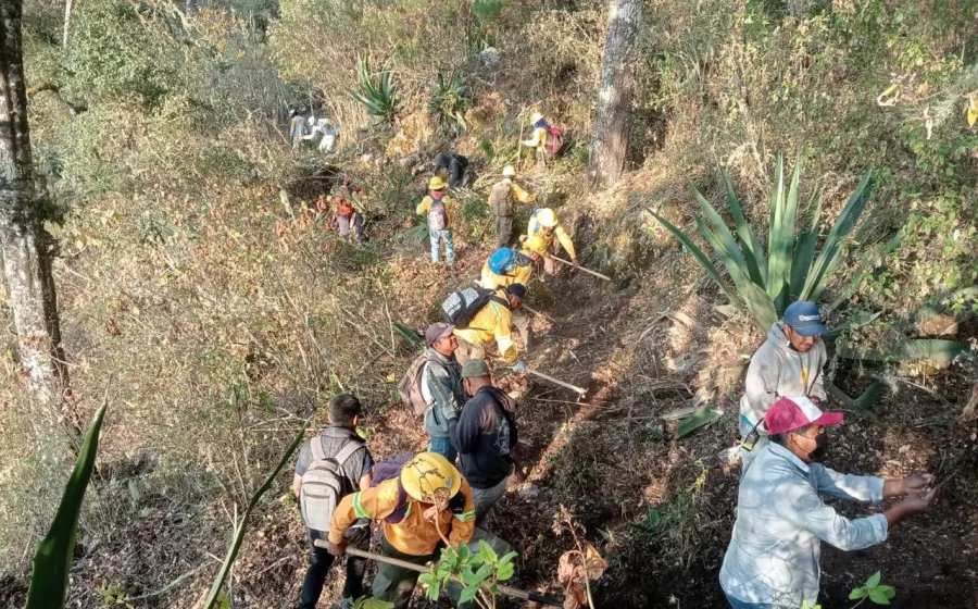 Controlado incendio forestal en San Esteban Atatlahuca