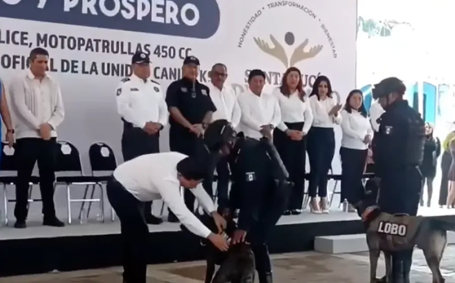 Cuando la perra es brava, hasta a los de casa muerte