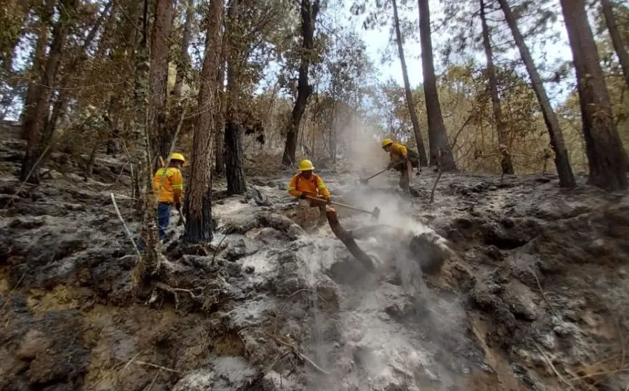 Controlan al 95% incendio forestal en Santa Catarina Juquila