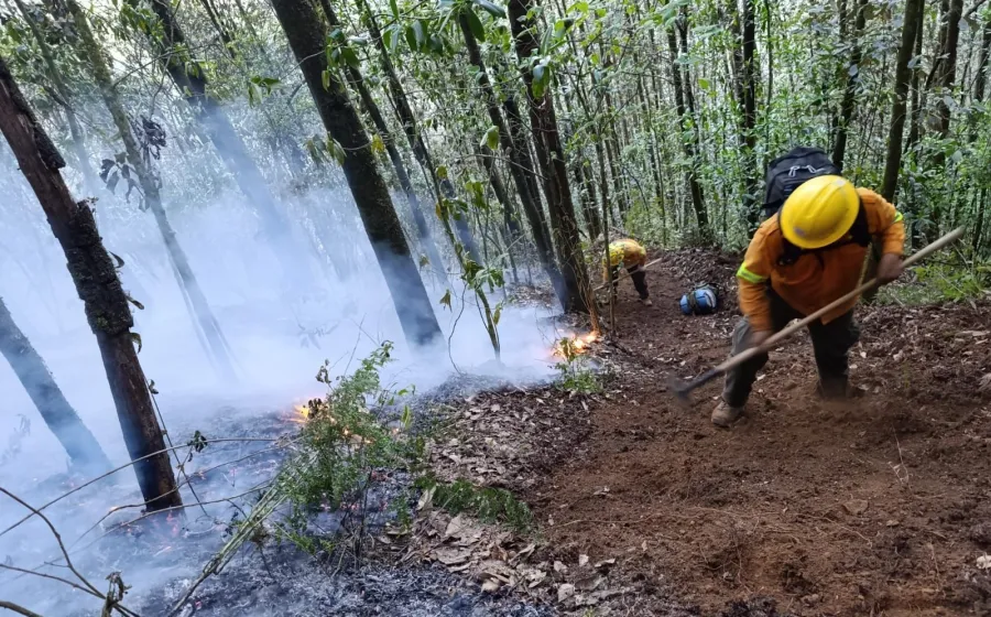 Reporta Coesfo control del 90% en incendio forestal de Cuyamecalco Villa de Zaragoza