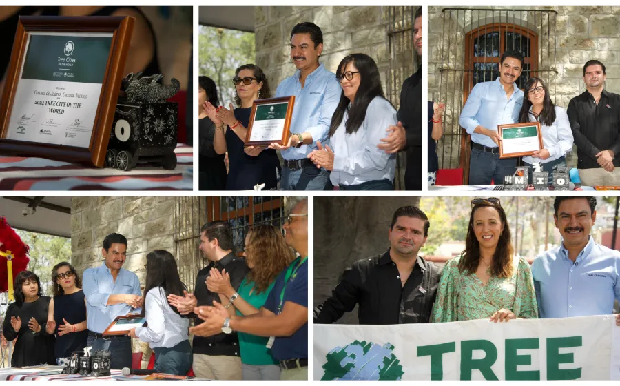 Oaxaca de Juárez Recibe el Distintivo "Ciudad Árbol del Mundo”