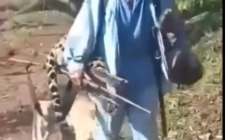 Atienden autoridades ambientales la caza de un jaguar en Totontepec Villa de Morelos