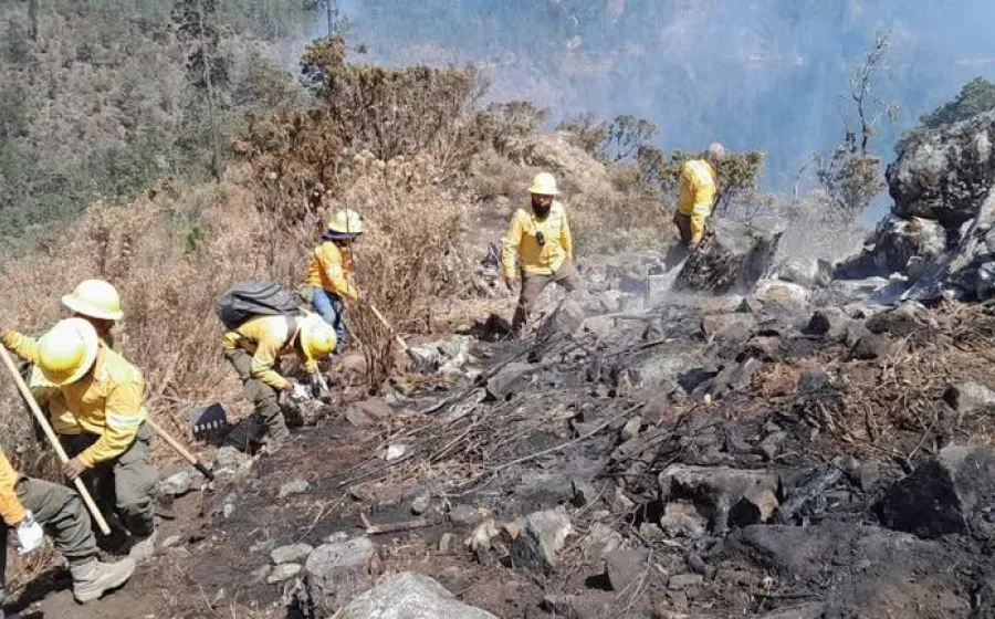 Se atiende en Oaxaca 7 incendios forestales