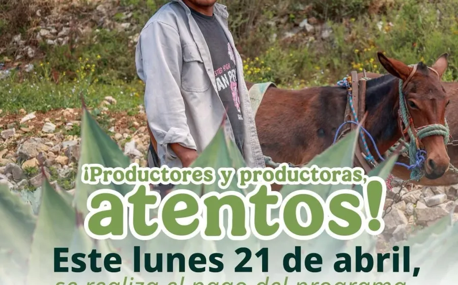 Arranca este lunes entrega de apoyos para productores 